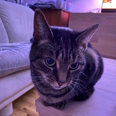 AndreDuPon1's profile picture. 