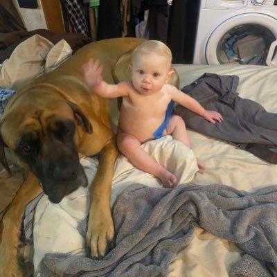 NCbuckeye2481's profile picture. Buckeye living in NC. App St Father of three kids and one dog. Builder of custom homes here in Appalachian mountains. Go Cavs,Browns,Indians DeadSpreadhead