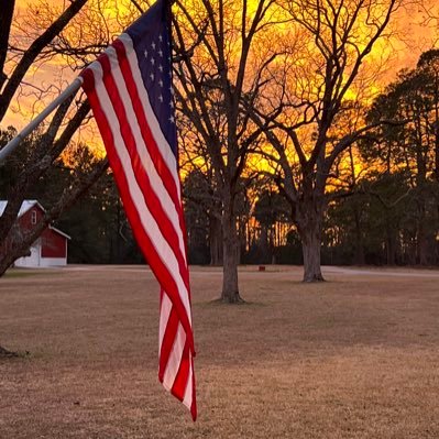 GeorgiaThumper's profile picture. I love Jesus and I'm thankful to live in the USA 🇺🇸.