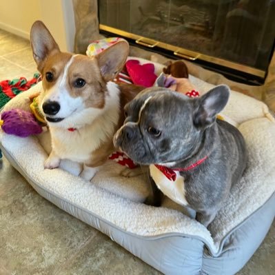 BlackhawksNerd's profile picture. Bulls/Bears/Blackhawks/Bama