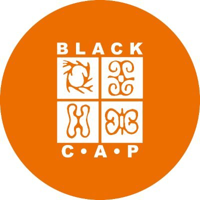 Black CAP works to prevent HIV infections and enhance the quality of life of people living with HIV/AIDS in Toronto’s Black, African and Caribbean communities.