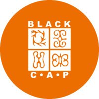 Black CAP(@BlackCAPTO) 's Twitter Profileg