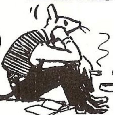 saulbruv's profile picture. fuck it tho bro it’s your life