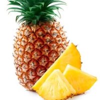 FPLpolitico (@fplpineapple_) 's Twitter Profile