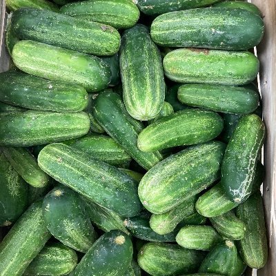 GameOfInches2's profile picture. my little love