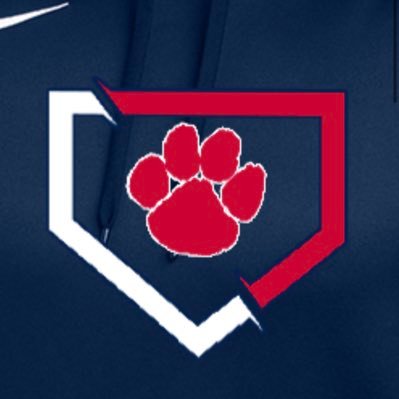 campobaseball Profile Picture