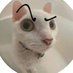 … (@elliewe77403715) Twitter profile photo … (@elliewe77403715) Twitter profile photo