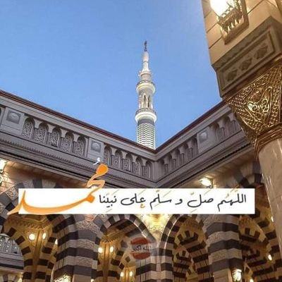 saferaadnan's profile picture. Adnan Islam