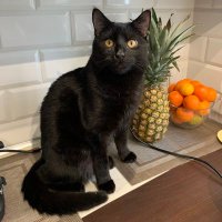 Malinka (@malinka7771777) 's Twitter Profile