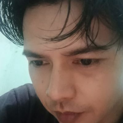 foeldv's profile picture. 