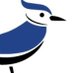 MarthasvilleElementary (@mvlbluejayssdow) Twitter profile photo MarthasvilleElementary (@mvlbluejayssdow) Twitter profile photo