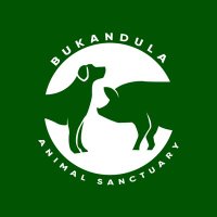 Bukandula Dogshelter(@Bukandula5) 's Twitter Profileg