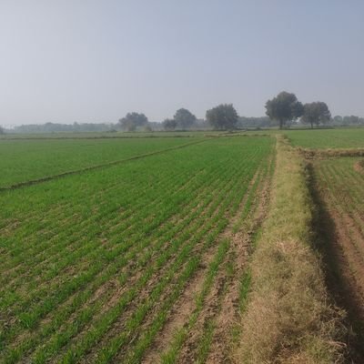 Bibliophile। Farmer Supporter।Haryanvi। RTs are just RTs