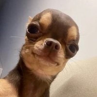 Frostardo (@frostytwice) 's Twitter Profile