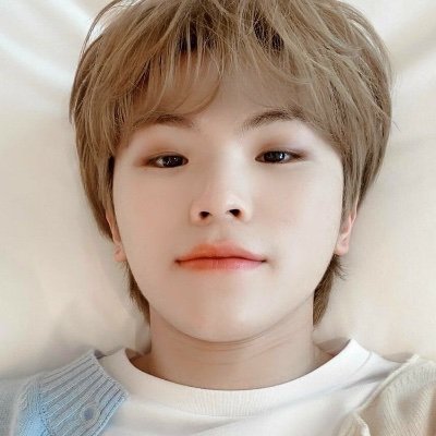 Roleplayer — 1996. Woozi exists with stunning visage and incredible talents. His lovely personality will bring you to the unstoppable blithesome.