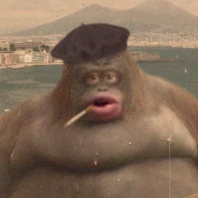 evan_ack's profile picture. Professional Rage Baiter