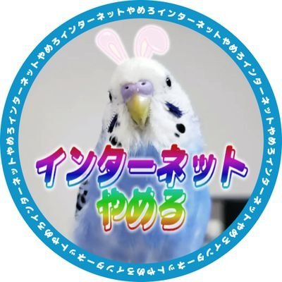 wywvwyw's profile picture. 