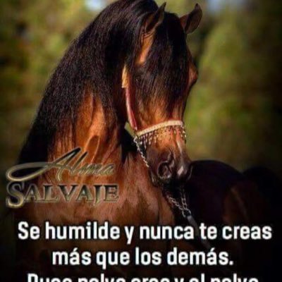 Israel64513557's profile picture. 