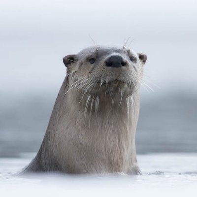Seekerさんのプロフィール画像