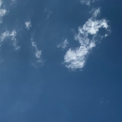 CyGbk's profile picture. 