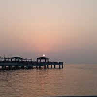 أ. أمل أحمد (@amal_instructor) 's Twitter Profile