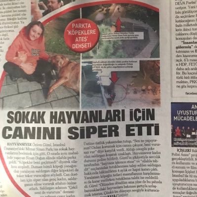 OzlemSokak's profile picture. sokak hayvanlarını korumak için silah önüne ve girilmeyen enkazlara giren ve bir cana nefes olmanın kıymetini bilen bir insanım