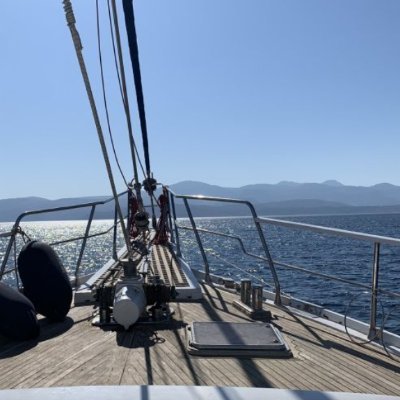 wonderw55532542's profile picture. sports, politics, sailing