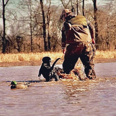 Matthew59884343's profile picture. 