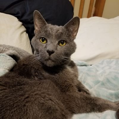 Dono_van_Ham's profile picture. https://t.co/eESDLgHYYa

Biologist, Musician - Progressive Rock/Metal, Atheist, Green voter #DemExit - This world is so fucked

Bluesky: Dono-van-Ham