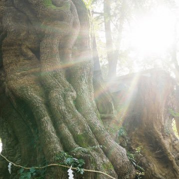 色々病気してますが頑張ります