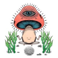 Psychedelic vision(@BradelyFaria) 's Twitter Profile Photo