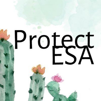 Arizona mom who supports universal ESAs/school choice. Parents need options!
