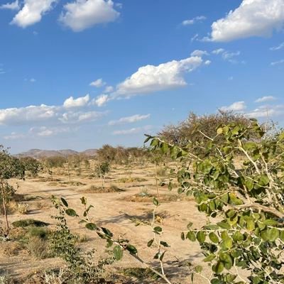 mrmr40022's profile picture. 