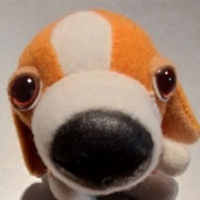z5zdJ's profile picture. こんにちは
政治・社会・経済に関して、たまに毒🍄吐くときもあるかも😜🤪
よろしくお願いします