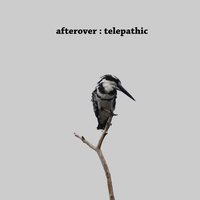 Afterover (@afteroverm) 's Twitter Profile