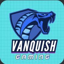 We Are Vanquish! If we followed you, we want you!