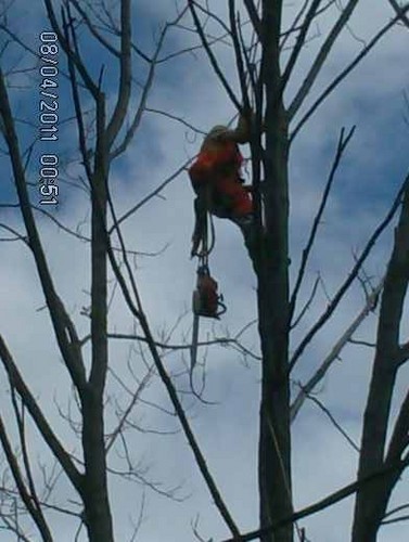 Canadian Arboricultural Practitioner, CEO (RTCC), Eco-system development co-ordinator, consultant and pro-climber. Exotic wood enthusiast and specialty carver.