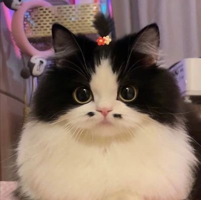 lmaxmum's profile picture. อย่าลดแสงในตัวเองเพราะมีใครบางคนแสบตา