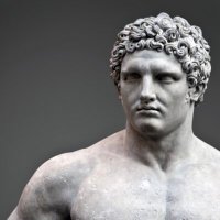 White Unity Bear \\\ (@johnnyliberty77) 's Twitter Profile