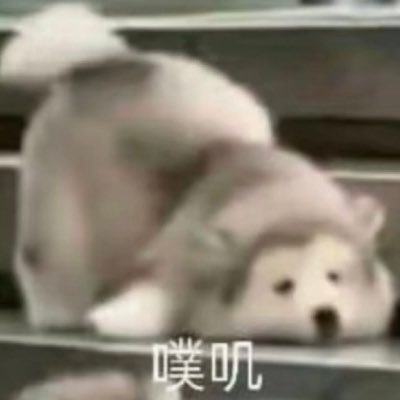 cxie_13's profile picture. 是她的小狗宝贝啦 仅记录日常@Ral55019610