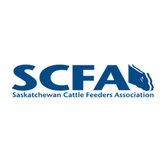 Enhancing Saskatchewan's cattle feeding industry, through representation, provision of training, sharing information and liaison with other organizations.