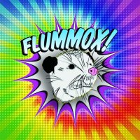 Flummox(@flummoxband) 's Twitter Profile Photo