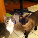 Barbara Winstead - @barbkaywinstead - Twitter