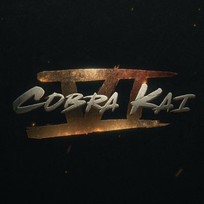 CobraKaiSeries Profile Picture