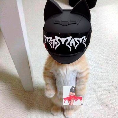 Digital Influencer_🔥🌴
Instagram:marsell_alejandro
Always Tired°°💦 OTAKU🇯🇵
YHLQMDLG🗿
este usuario le reza a: Bad Bunny🖤✨