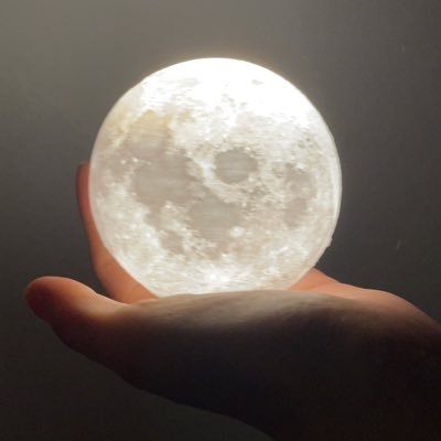 riririm_03's profile picture. 🇹🇭forcebookふぉすぶ🦊🍡🍅好き❣️🌏一周回って🇯🇵も今頃どハマり😂みなしょー💚からの超特急🤎やばい　好きなもんは好き‼️って自由に呟きまーす🤩