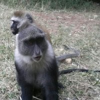 Salahdeen el Ayoubi (@kodaknikoned) 's Twitter Profile Photo