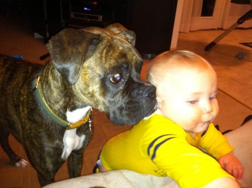 lost12many's profile picture. Associate Professor of Graphic Design
Monroe County Community College