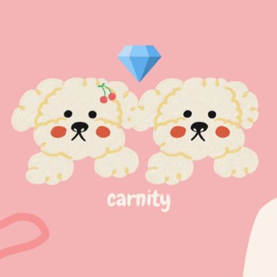 🇮🇩🛒 kindly cek shopee carnity17 if you want to see a real testi☺️ | #carnityongoingPO to see ongoing preorder ✨