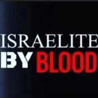 Abiyah Binyamin(@BullaIsrael58) 's Twitter Profile Photo